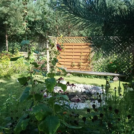 Guzowy Kacik Guzowy Piec